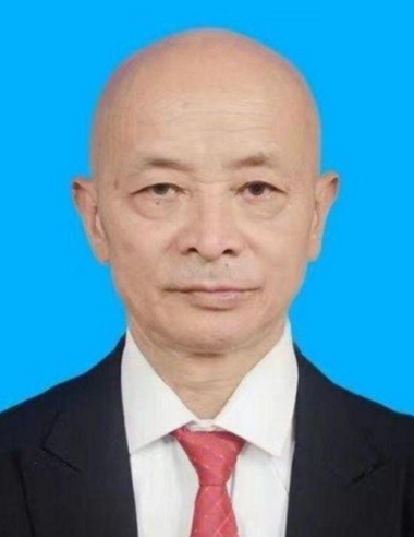两会重点推荐 中华道医脉络学现代疗法创始人---杨忠