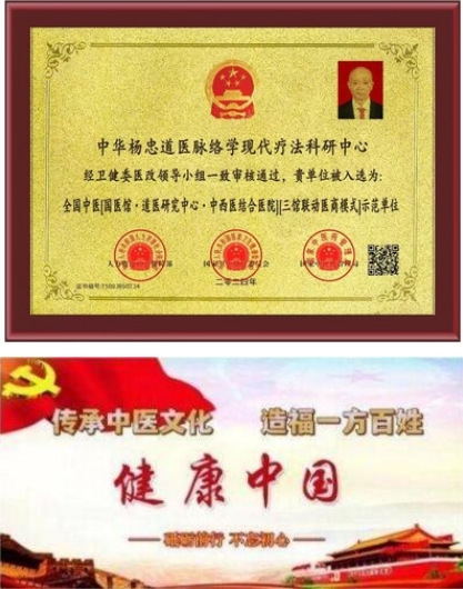 两会重点推荐 中华道医脉络学现代疗法创始人---杨忠