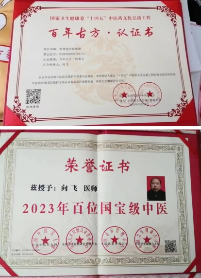 两会重点推荐 新时代国医名师---向飞