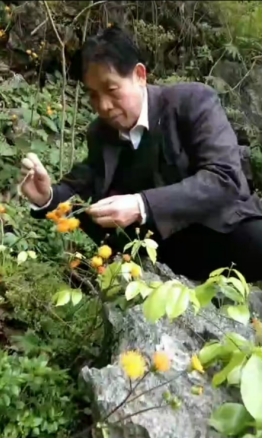 冠心病到底 能不能彻底铲除？养生素发明成功挑战不可能！