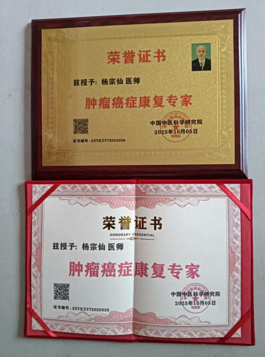 半世纪深耕岐黄，专利仁术济苍生——国医大师杨宗仙的中医济世传奇