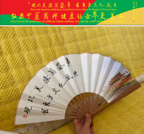 以绿茵为媒、以岐黄为桥 李乘伊携中医国粹亮相 2026 美加墨世界杯