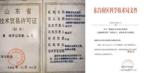 针脉仁心李东兰：聊城六代中医世家的“十五五”传承新篇