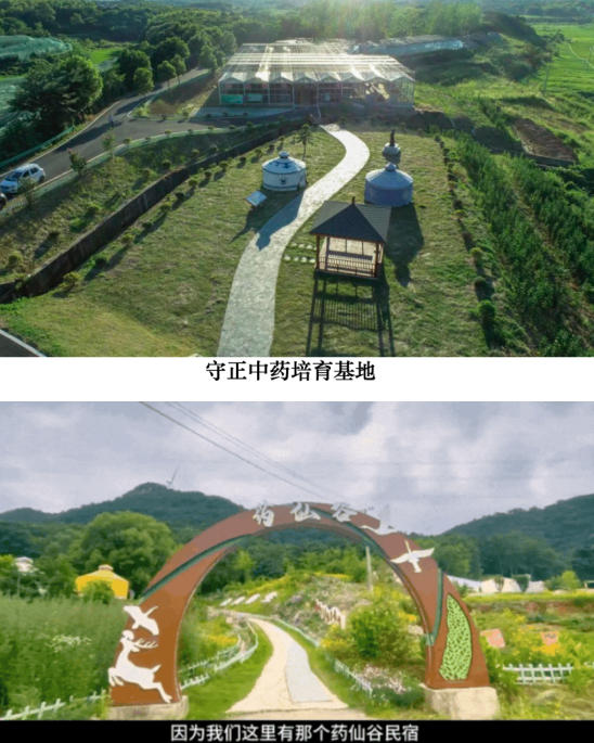本草润苍生 岐黄济世人：江西非遗中医传承人蔡锦芳的济世之路