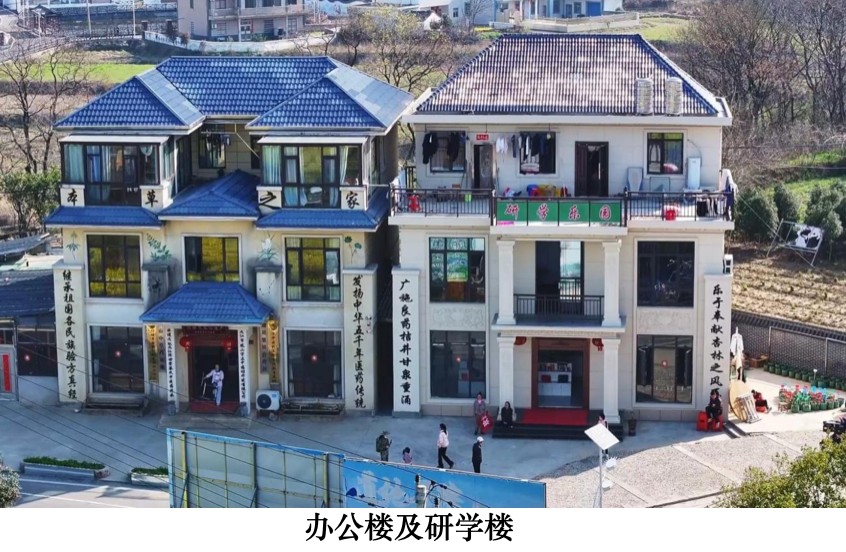 本草藏心承岐黄　济世传薪谱华章 济世堂蔡氏中医药非遗代表性传承人、中医学者蔡锦芳