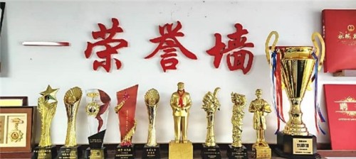 岐黄薪火永相传 仁心济世护苍生——专访国医泰斗刘恩国