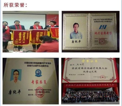 从中医蜂疗看生命医学 著名中医蜂疗专家----唐纯平