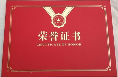 中医药传承人--成金生
