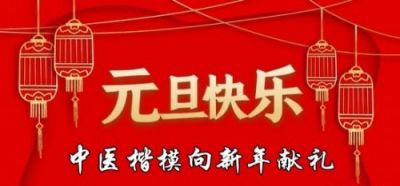 中国新时代国医大师—曾永忠