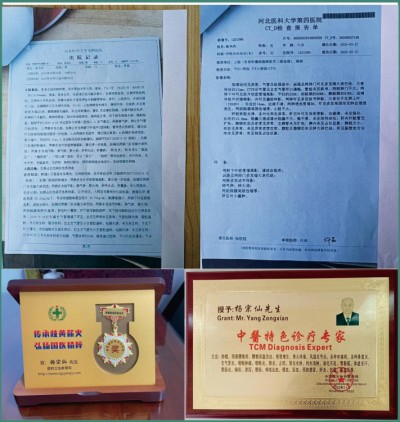 关爱生命：杨宗仙与仙防癌抗癌灭癌中医实践