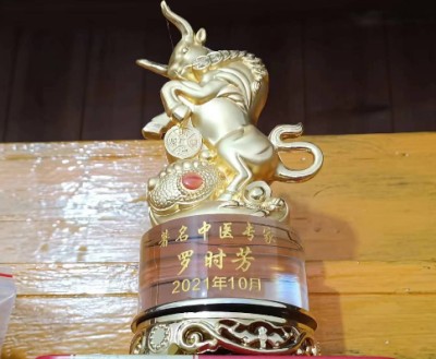 两会重点推荐 著名中医专家---罗时芳