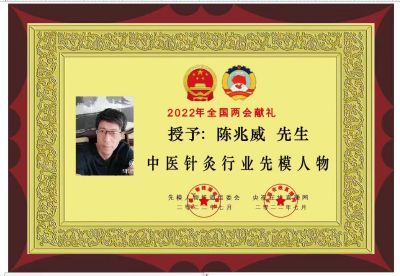 承千年文化 扬中医德馨 访道医名师---陈兆威