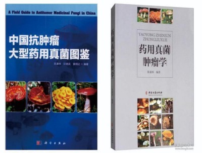 野生药用真菌自然医学体系 非药物疗法