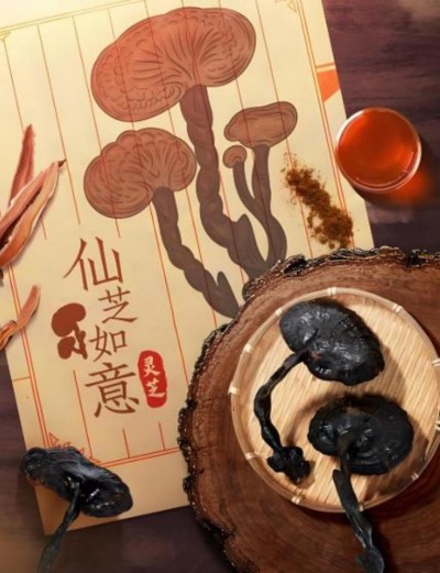 野生药用真菌自然医学体系 非药物疗法